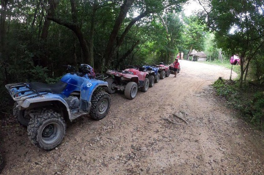 Jungle ATV Adventure: Unveiling Akumal's Enchanting Cenotes 3