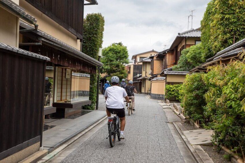 Kyoto E-Bike Tour: Bamboo Forest, Golden Pavilion & Zen Temple 5