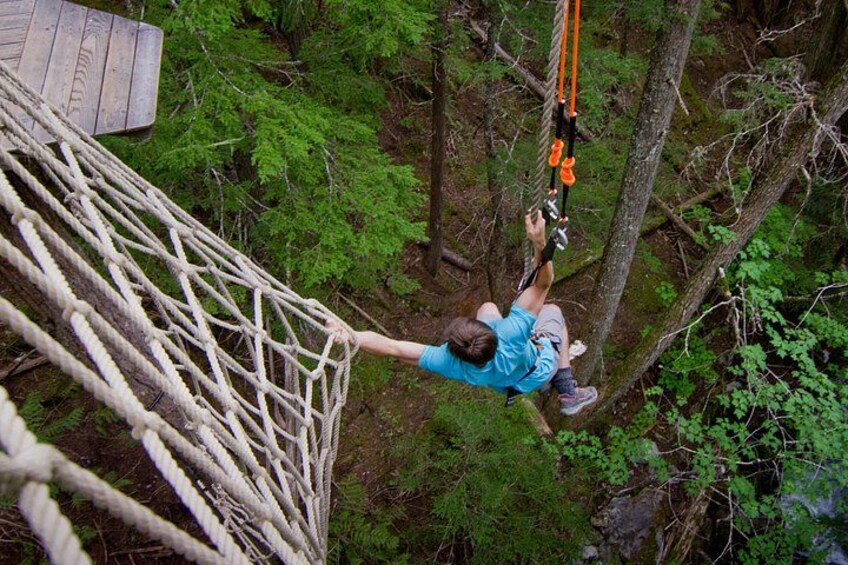A person bungee jumping from a rope bridge in a forest. 1