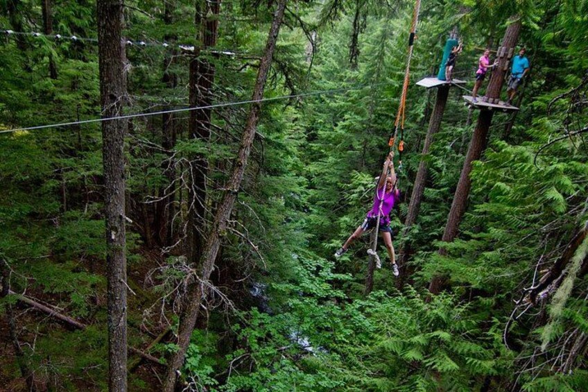 A person on a zip line in a dense forest. 3
