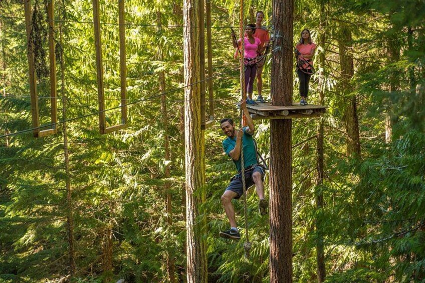 People on a forested rope course with trees and greenery. 5