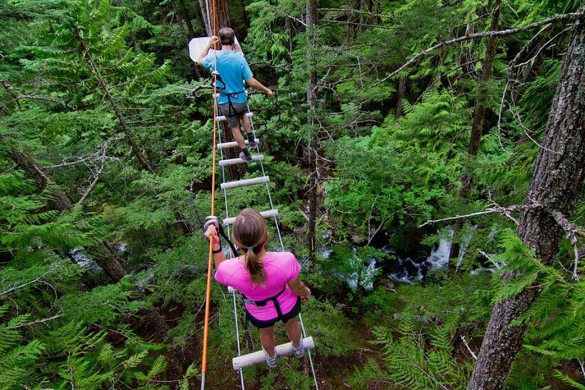 Two people climbing a rope ladder in a dense forest. 2