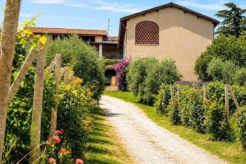 A gravel path leading to a building with a tiled roof, surrounded by lush greenery and flowering plants. 3