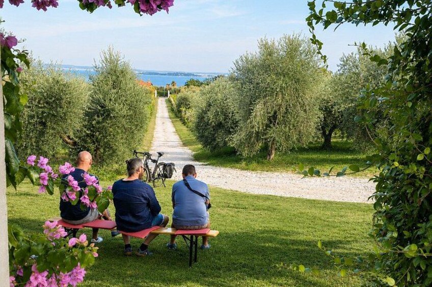 Three people sitting on a bench in an olive grove with a path leading to the sea. 5