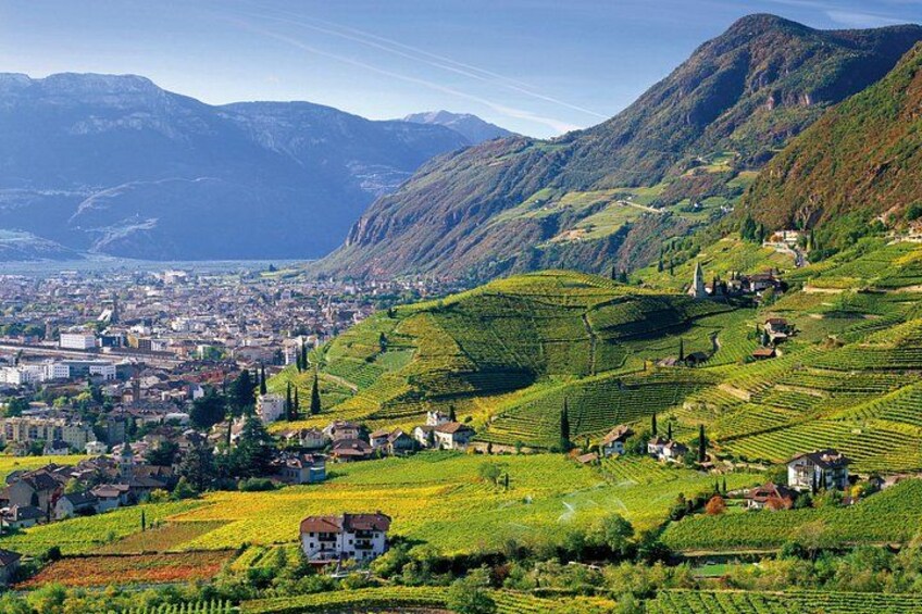 A mountainous landscape with vineyards, a town, and a lake. 1