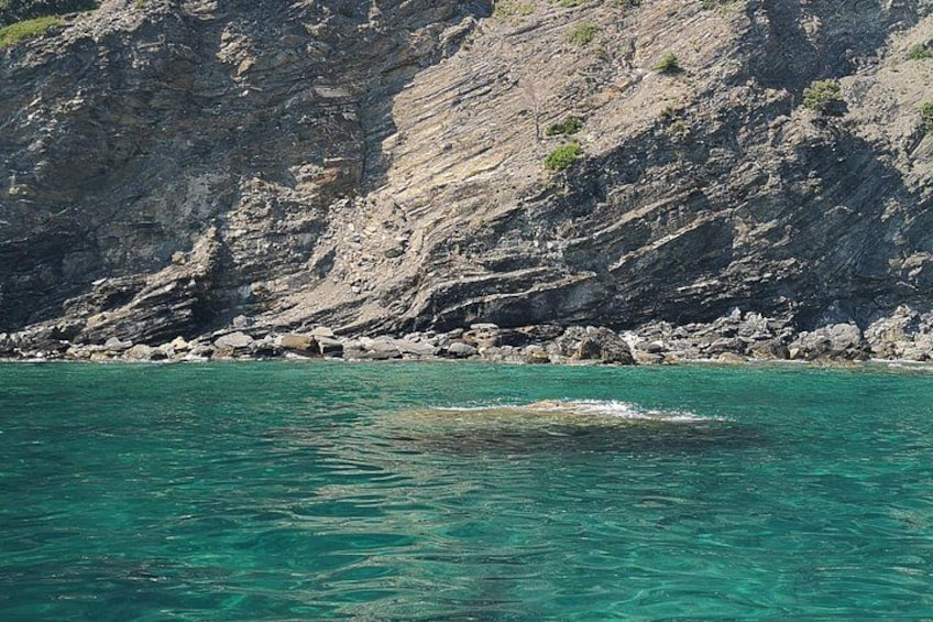 Cinque Terre Gozzo Tour: Sea, Relaxation and Local Flavors 4