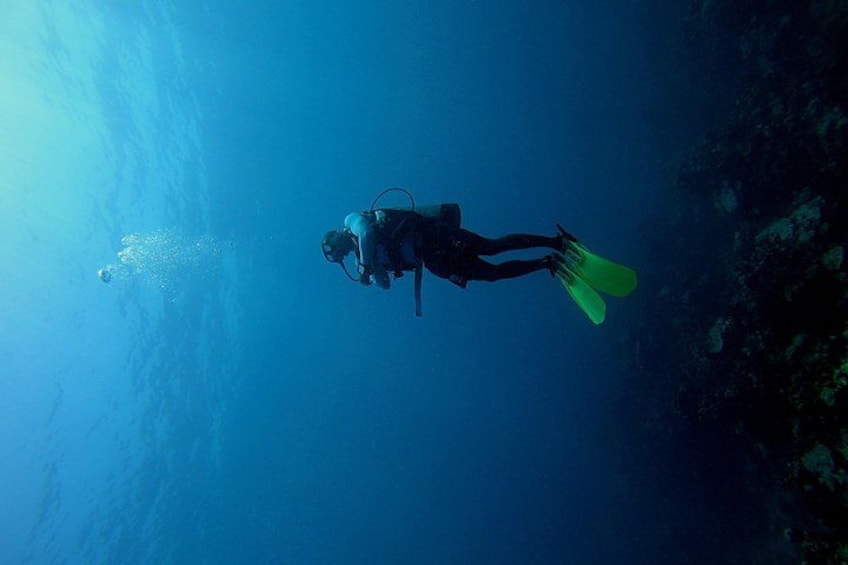 Under a sea of adventures, unforgettable diving. 1
