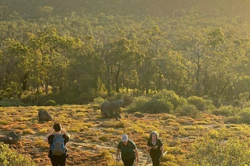 Eine Gruppe Wanderer auf einem Pfad, umgeben von dichtem Grün und Felsen. 5