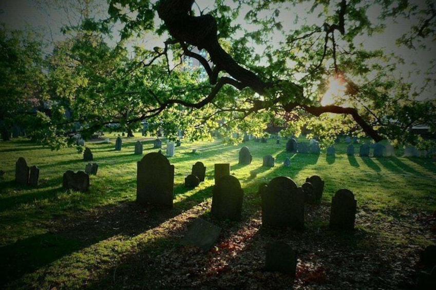 A cemetery with headstones under a large tree. 5
