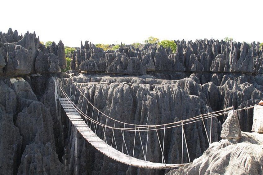 A rope bridge over a karst landscape. 1