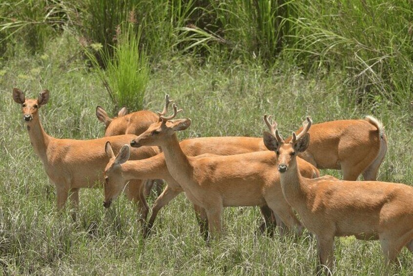 Shai Hills Accra Safari, Hike & see Animals etc 3