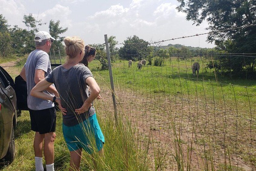 Shai Hills Accra Safari, Hike & see Animals etc 2