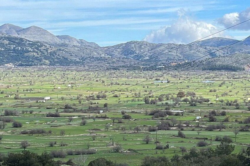 Een landelijk landschap met glooiende heuvels, verspreide velden en een bergketen op de achtergrond. 1
