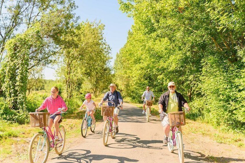 Un grupo de personas pedaleando en un sendero bordeado de árboles. 4