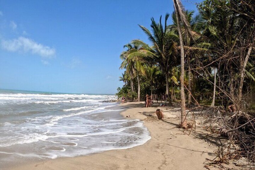 Private Quad Bike Tour in Palomino