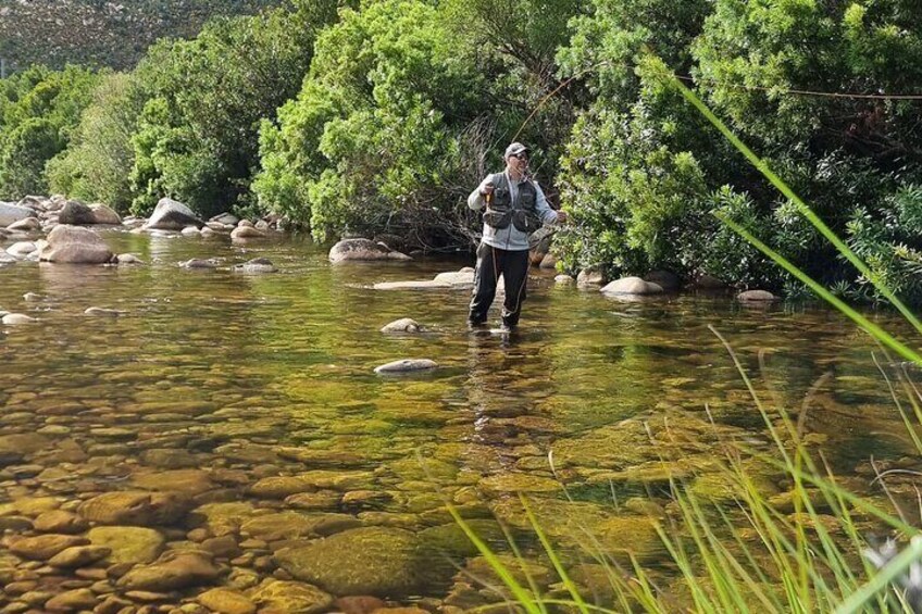 Fly Fishing in Cape Town for Five Hours