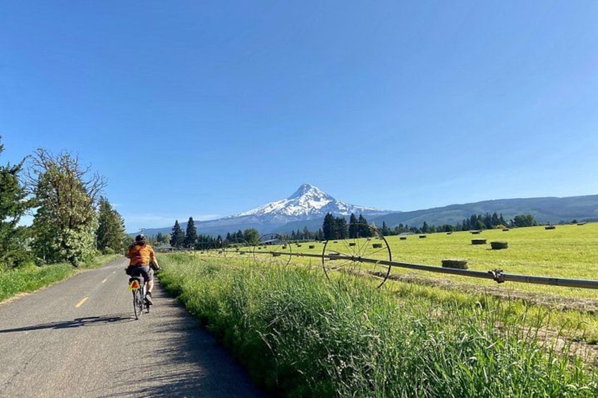 A cyclist on a paved road with a mountain in the background. 1
