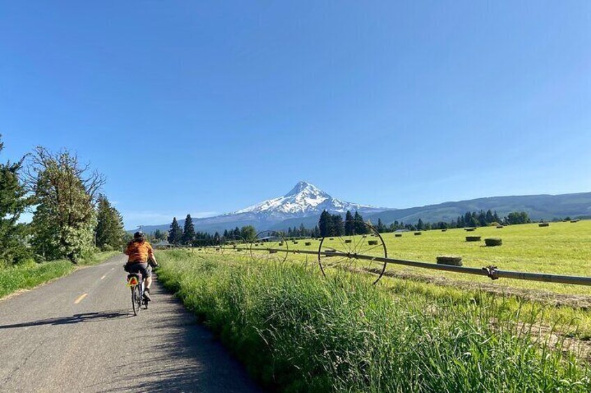 open road with nothing but mountain