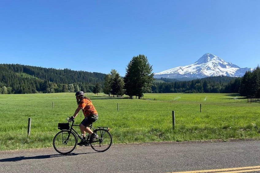A cyclist on a road with a mountain in the background. 3