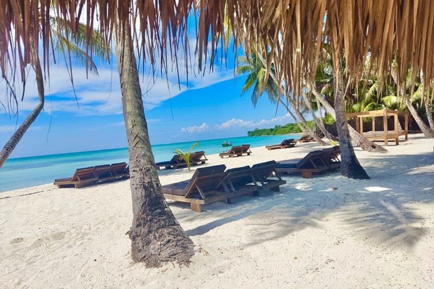 A beach with lounge chairs and palm trees. 3