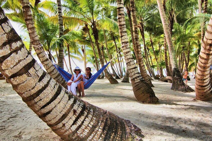 A hammock between palm trees on a sandy beach. 5