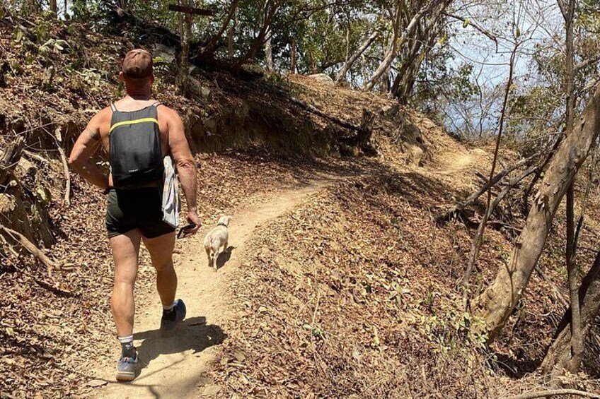A person walking a dog on a dirt trail surrounded by trees. 5