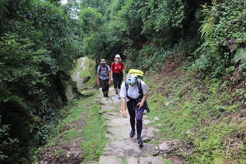 A group of hikers on a narrow, rocky trail surrounded by dense greenery. 1