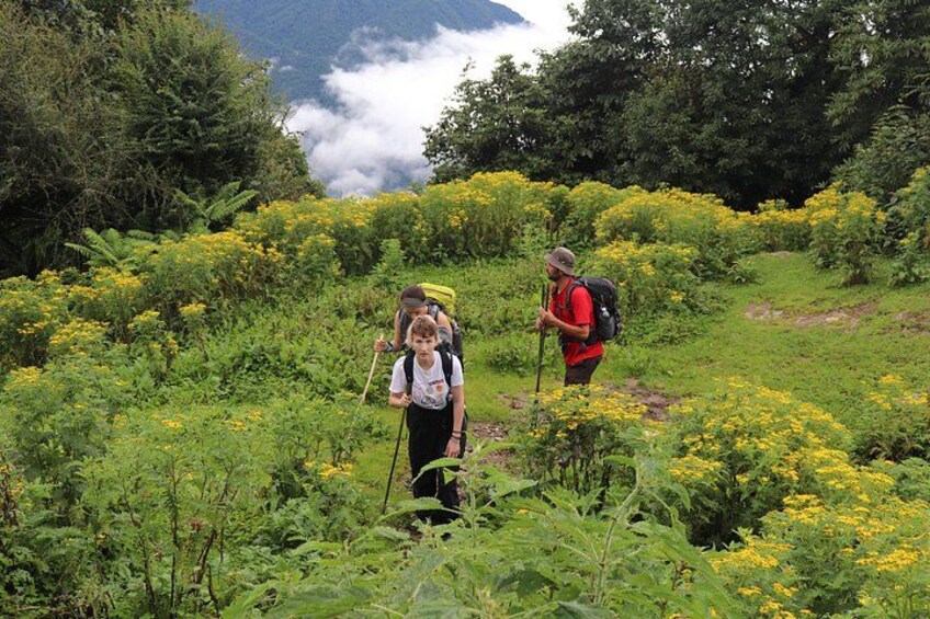 Two hikers on a trail surrounded by lush greenery and yellow flowers. 4