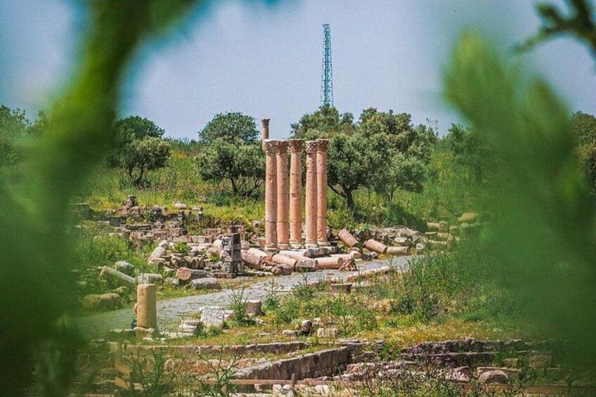 Day Tour Jerash, Ajloun and Umm Qais From Amman 2