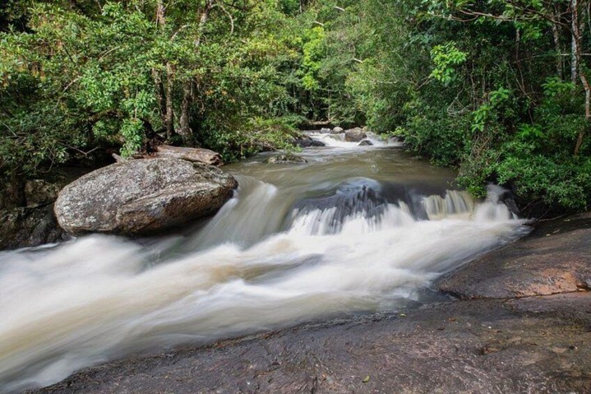A flowing river with a large rock in the foreground and dense greenery in the background. 4