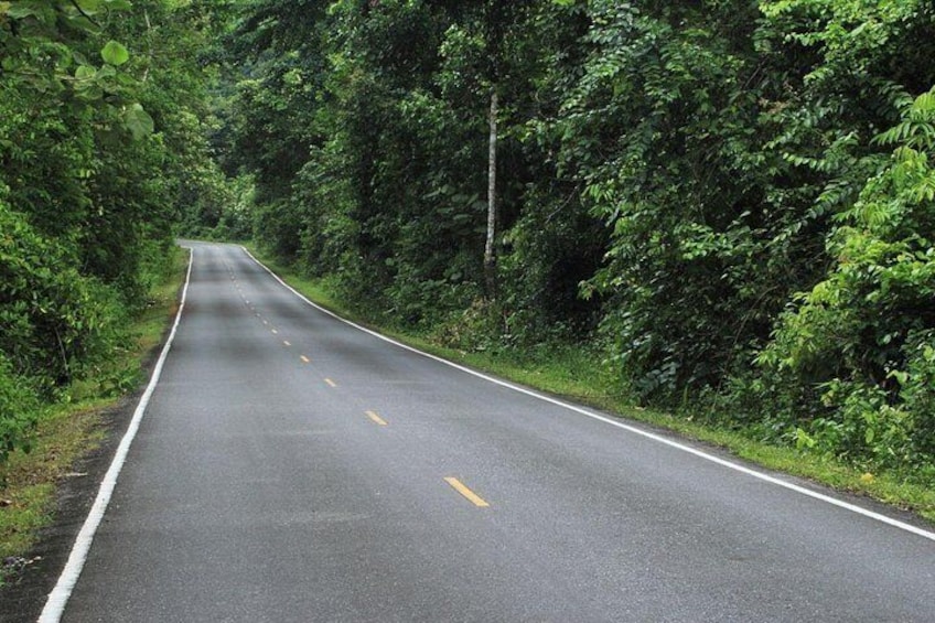 Khao Yai National Park Full-Day From Bangkok - Including Ticket 2