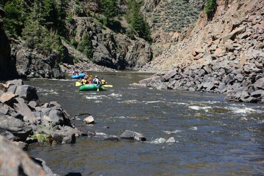 Colorado River Rafting: Half Day Trip