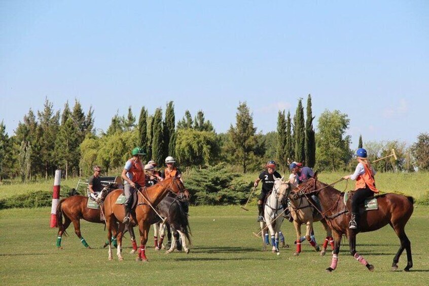 Horseback Riding and Polo in Buenos Aires 