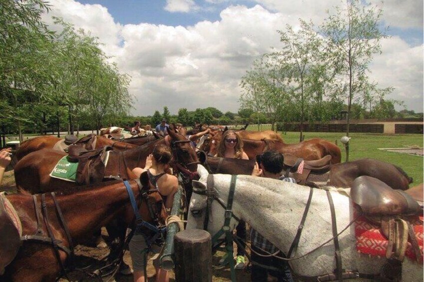 Horseback Riding and Polo in Buenos Aires 