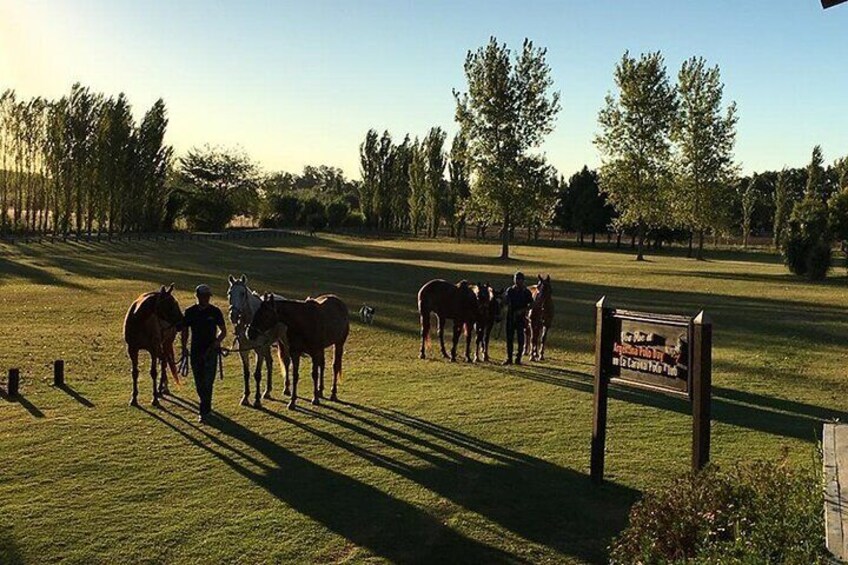 Horseback Riding and Polo in Buenos Aires 