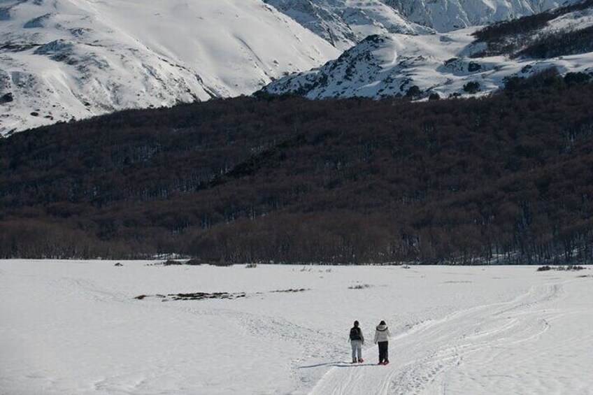 Snowshoeing in Laguna Victoria