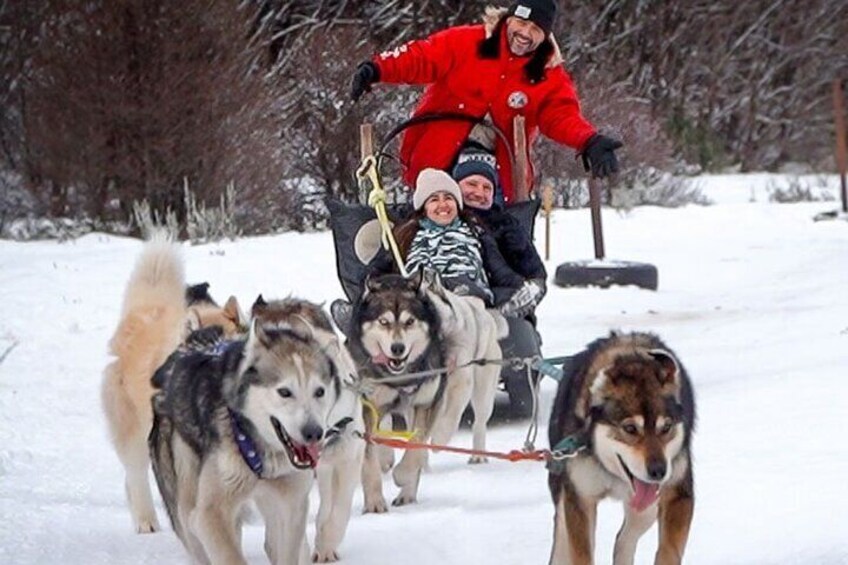 Dog sledding in the Olum Valley