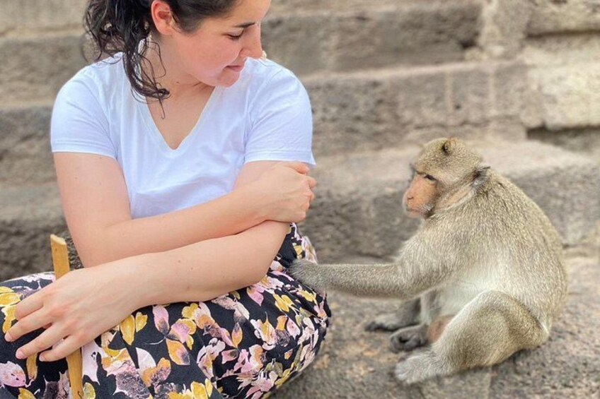 Lopburi Monkey Temple & Ayutthaya Old City Tour From Bangkok 2