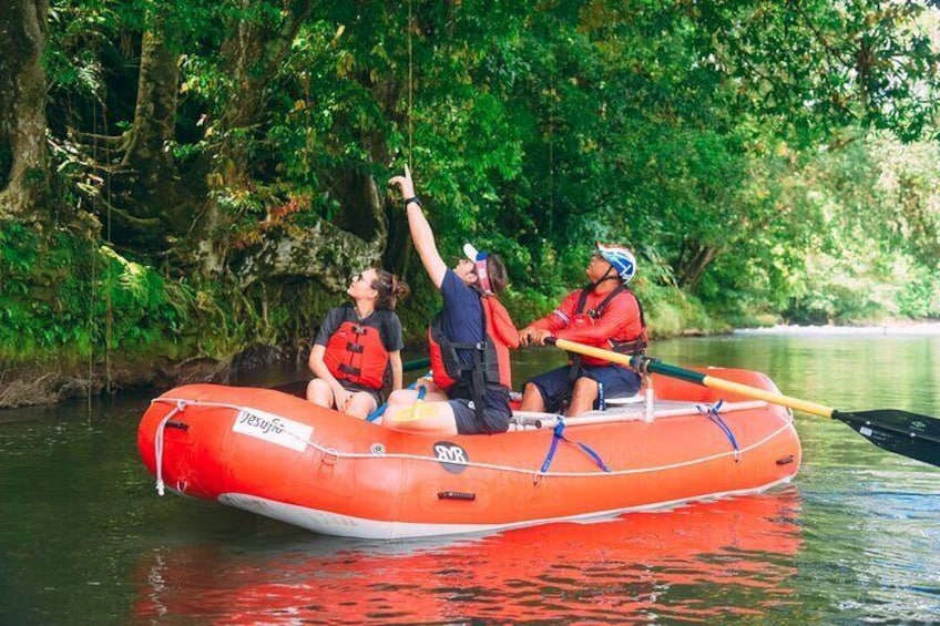 Jungle Safari Float on Sarapiqui River from San Jose 1