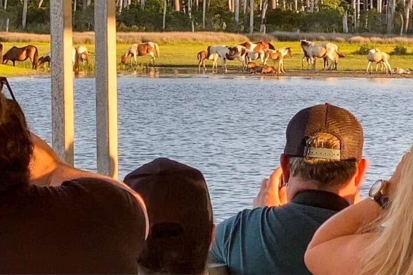 People watching horses by a lake. 3