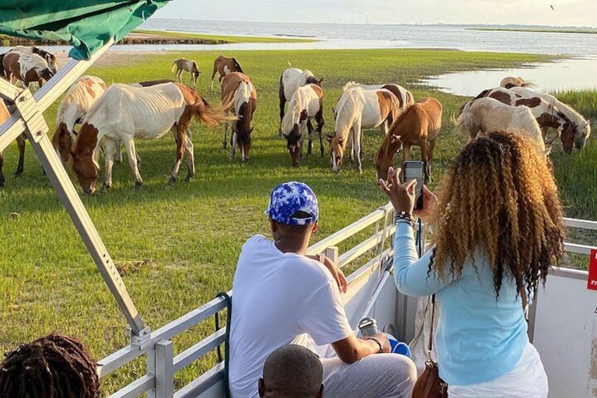 A group of people observing horses grazing near a body of water. 4