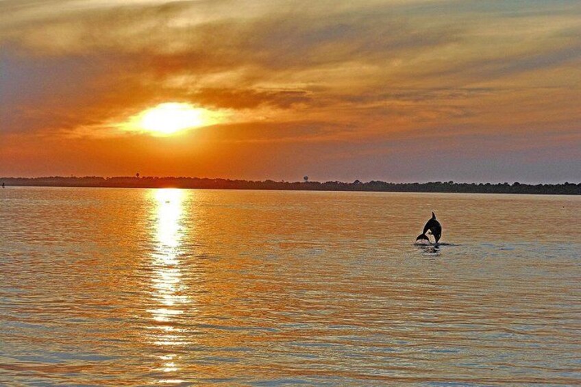 Sunset Wildlife Cruise along Assateague & Chincoteague Island 3