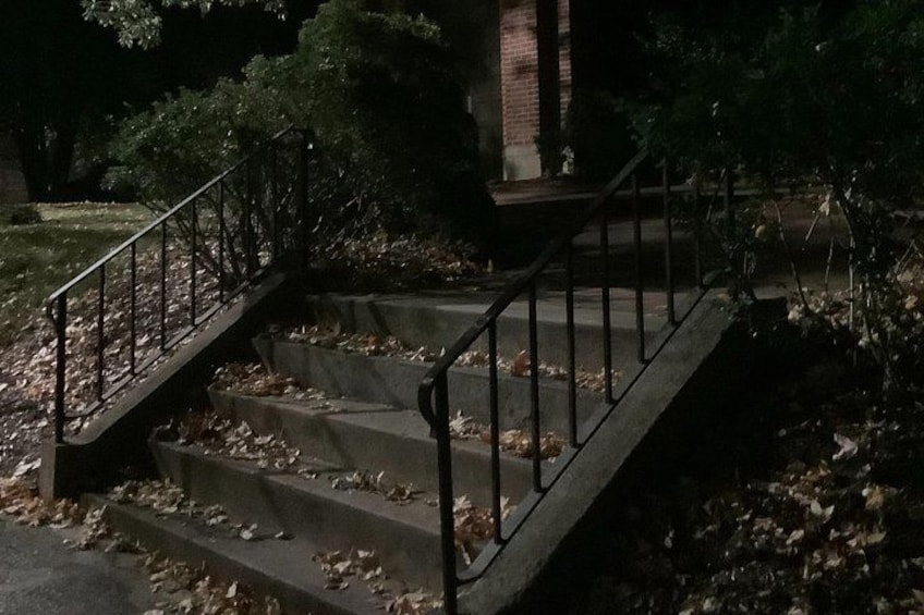 A set of concrete stairs with metal railings, surrounded by fallen leaves and trees. 4
