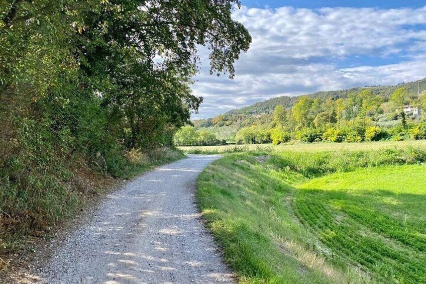 Valtenesi bike tour with lake view and wine tasting from Moniga 5