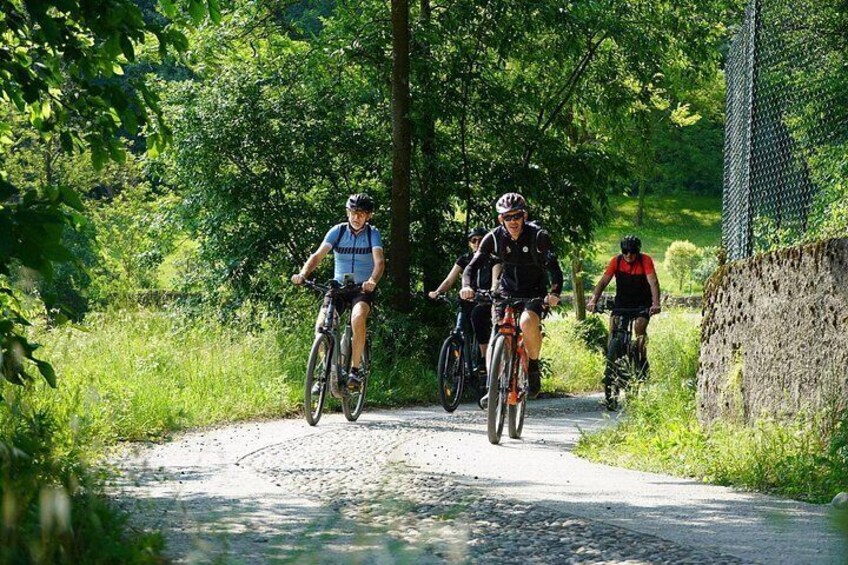 Valtenesi bike tour with lake view and wine tasting from Moniga 4