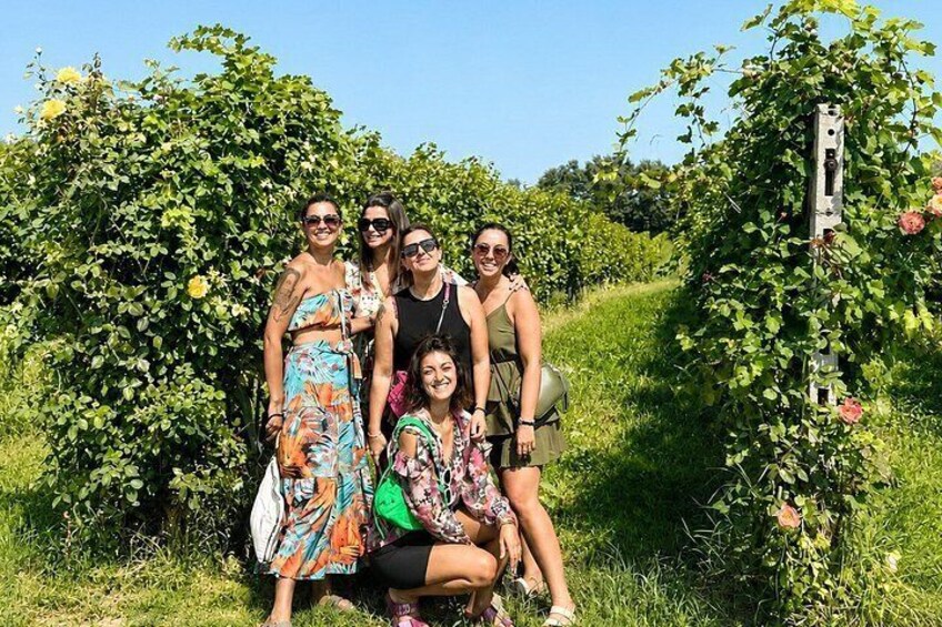 Valtenesi bike tour with lake view and wine tasting from Moniga 3