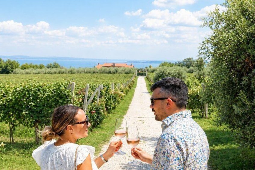 Un sentier bordé de vignes, avec des rangées de ceps, un ciel dégagé et une vue lointaine sur la mer. 5