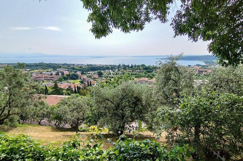 Valtenesi bike tour with lake view and wine tasting from Moniga 4