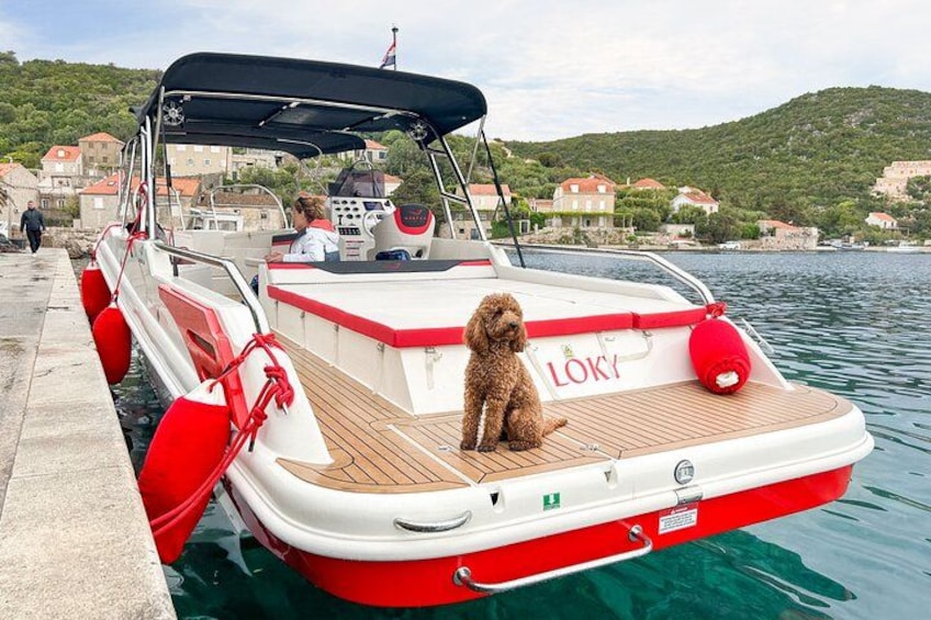 Een klein bootje met een hond op het dek, afgemeerd bij een steiger, met huizen op de achtergrond. 4