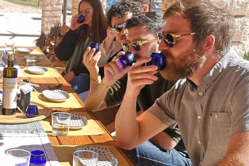 Olive Oil Tasting on The Hills of Valpolicella 1